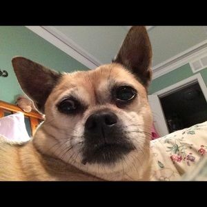 Meet your Posher, Tammy