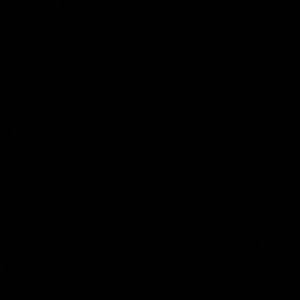 Meet your Posher, Nina