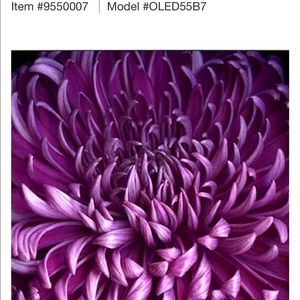 Meet your Posher, Diana