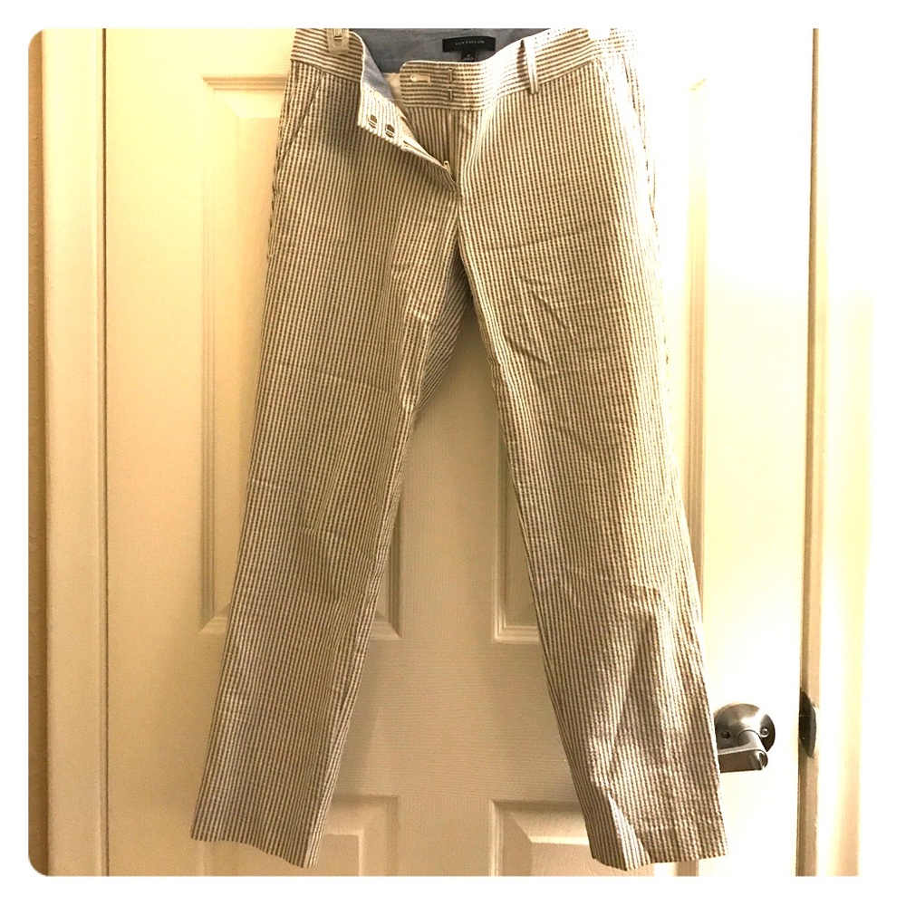 Dress pants