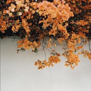 Meet your Posher, Aly