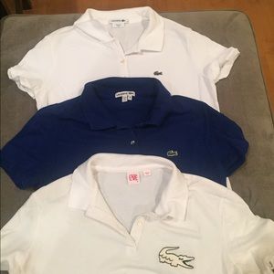 Lacoste Slim Fit Women's Polos