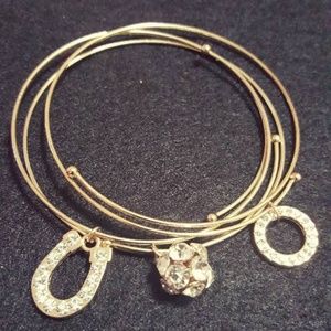 Lucky Horseshoe