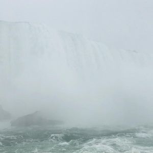 Meet your Posher, Jocelyn