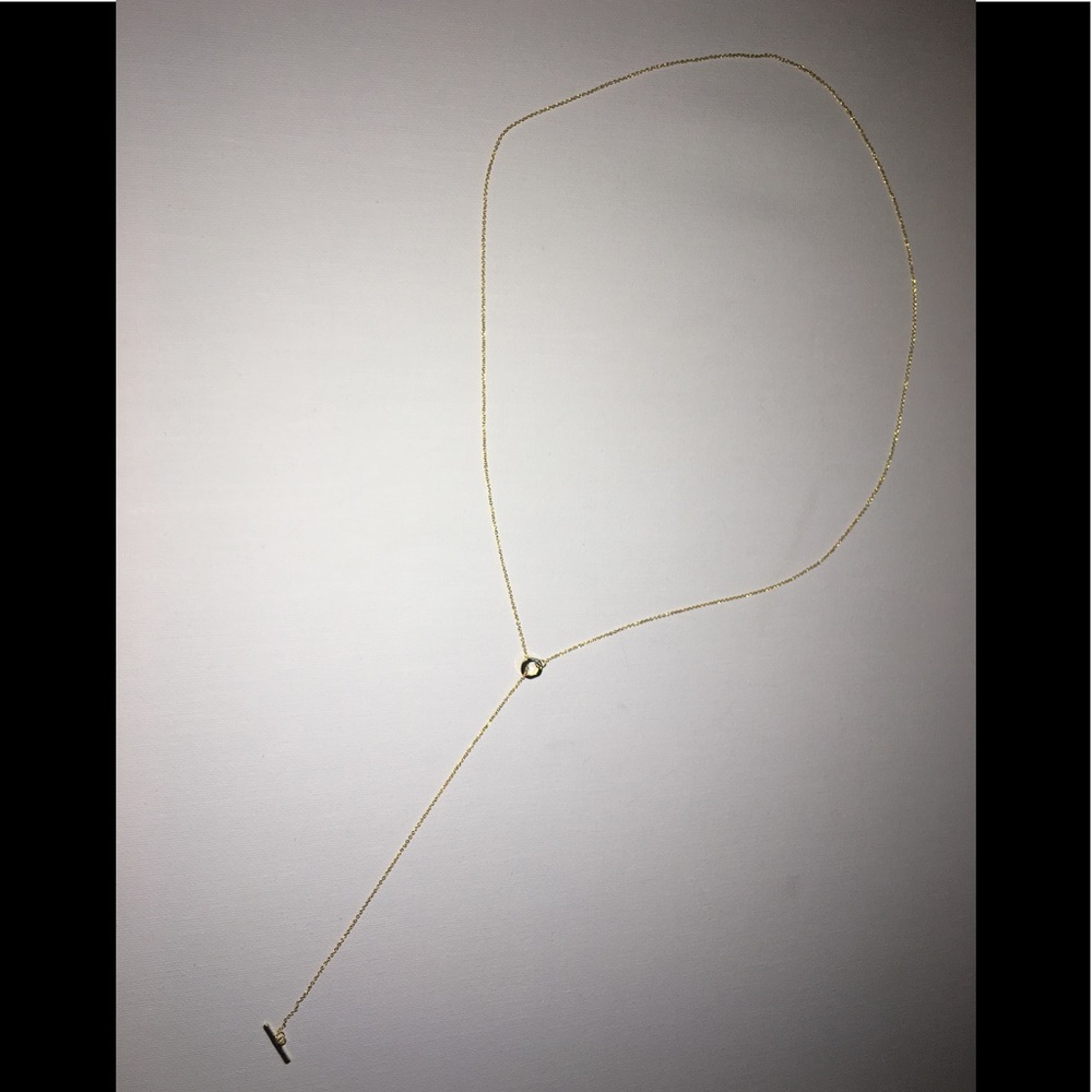 a elegant long gold necklace