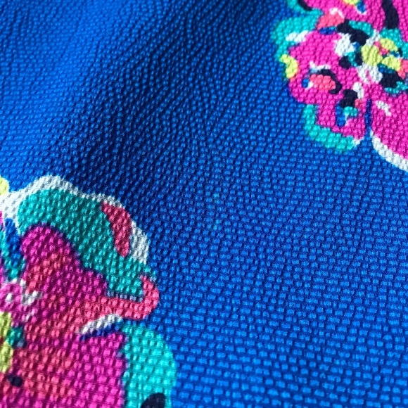 Lilly Pulitzer Dress - Picture 7 of 7