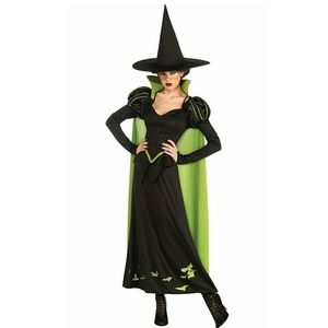 Halloween Costume Wicked Witch