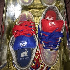 Nike Sb x Concept "Holy Grail"