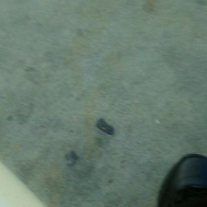 Meet your Posher, Ebony