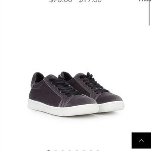 Sam Edelman Grey Velvet Sneaker