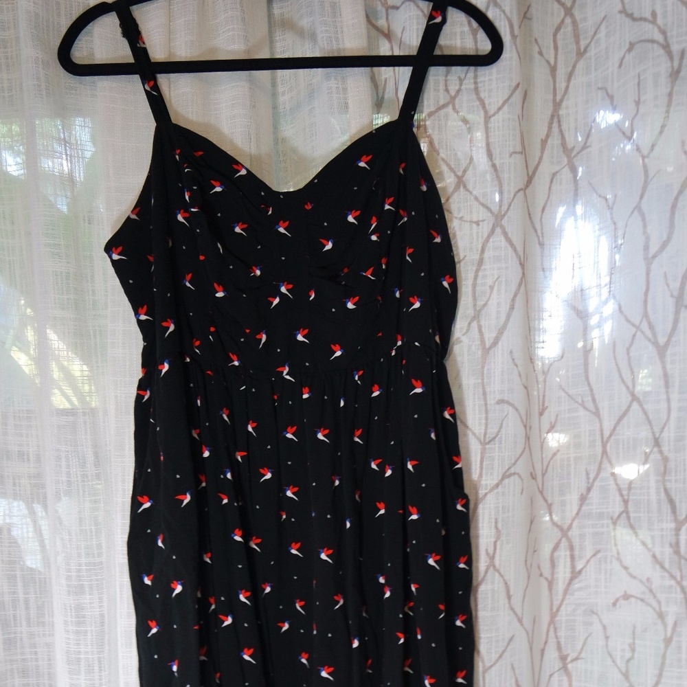 Torrid size 2 hummingbird dress