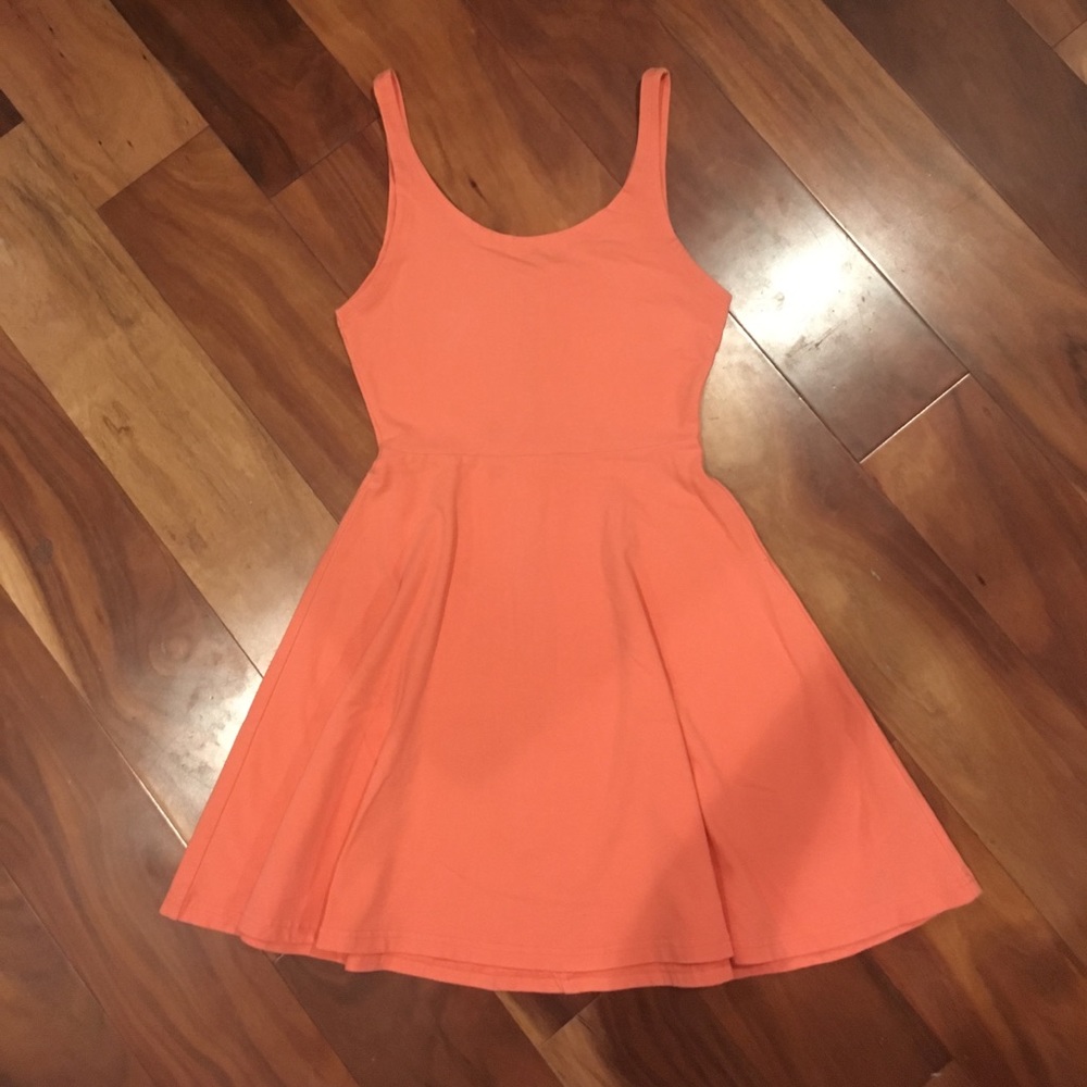 Express Fit & Flare Dress
