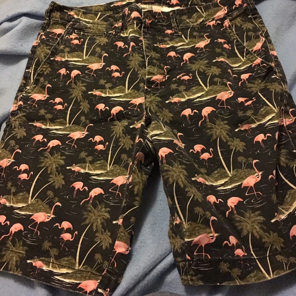 American eagle extreme flex shorts