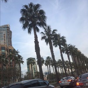 Meet your Posher, Celia