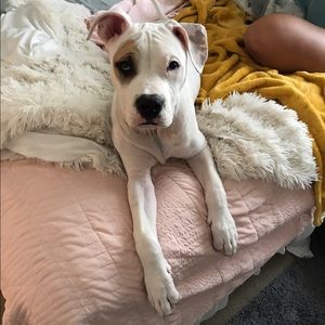 Meet your Posher, Reece