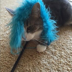 Meet your Posher, Donna