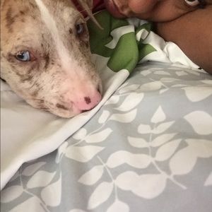 Meet your Posher, Kathy