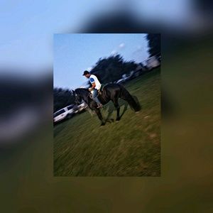 Meet your Posher, Jose