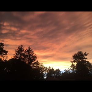 Meet your Posher, Gabi