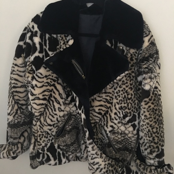 Jackets & Blazers - Cheetah coat with dark blue collar size Small