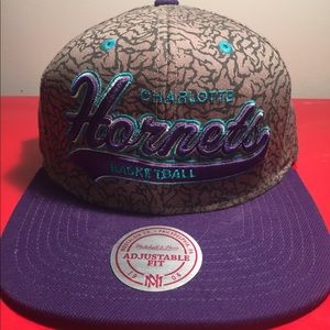 Charlotte hornets hat