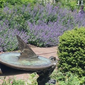 Meet your Posher, Deirdre