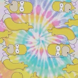 Meet your Posher, Jaydyn