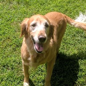 Meet your Posher, Tara