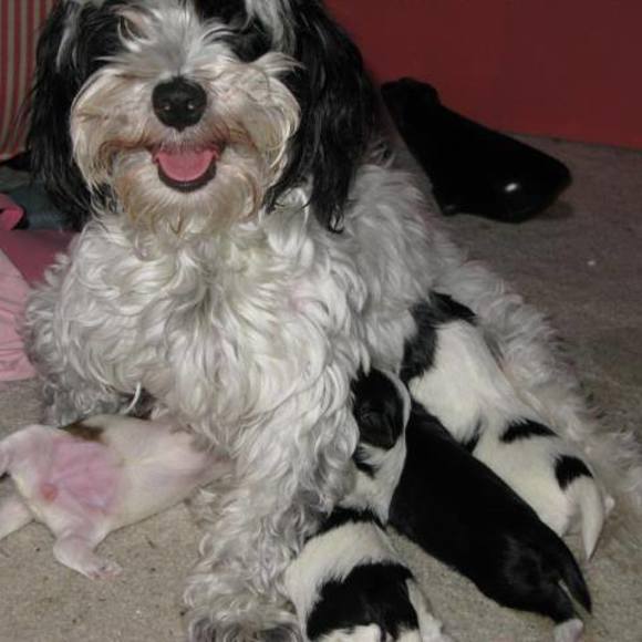 Meet your Posher, Linda - Picture 1 of 1