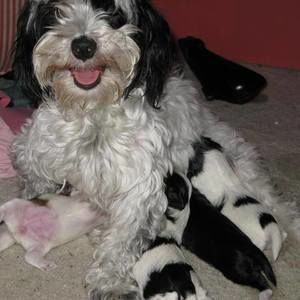 Meet your Posher, Linda