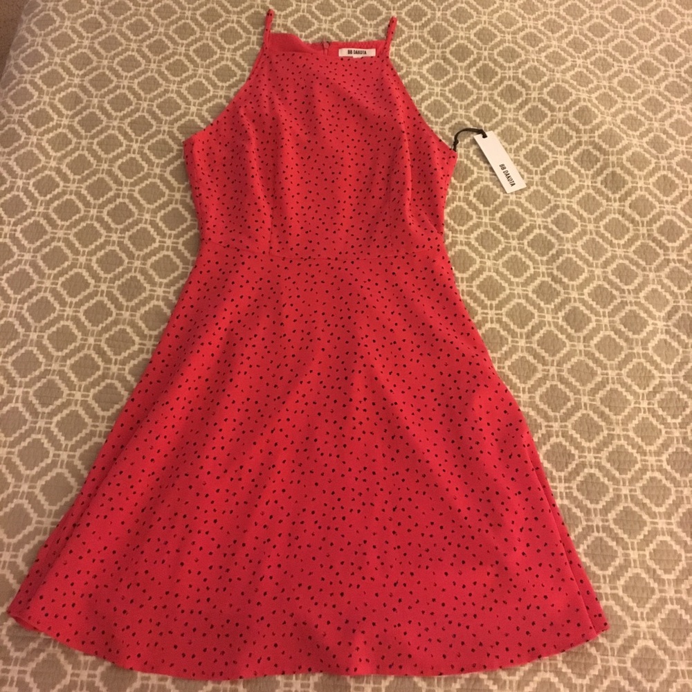 BB Dakota Skater Dress