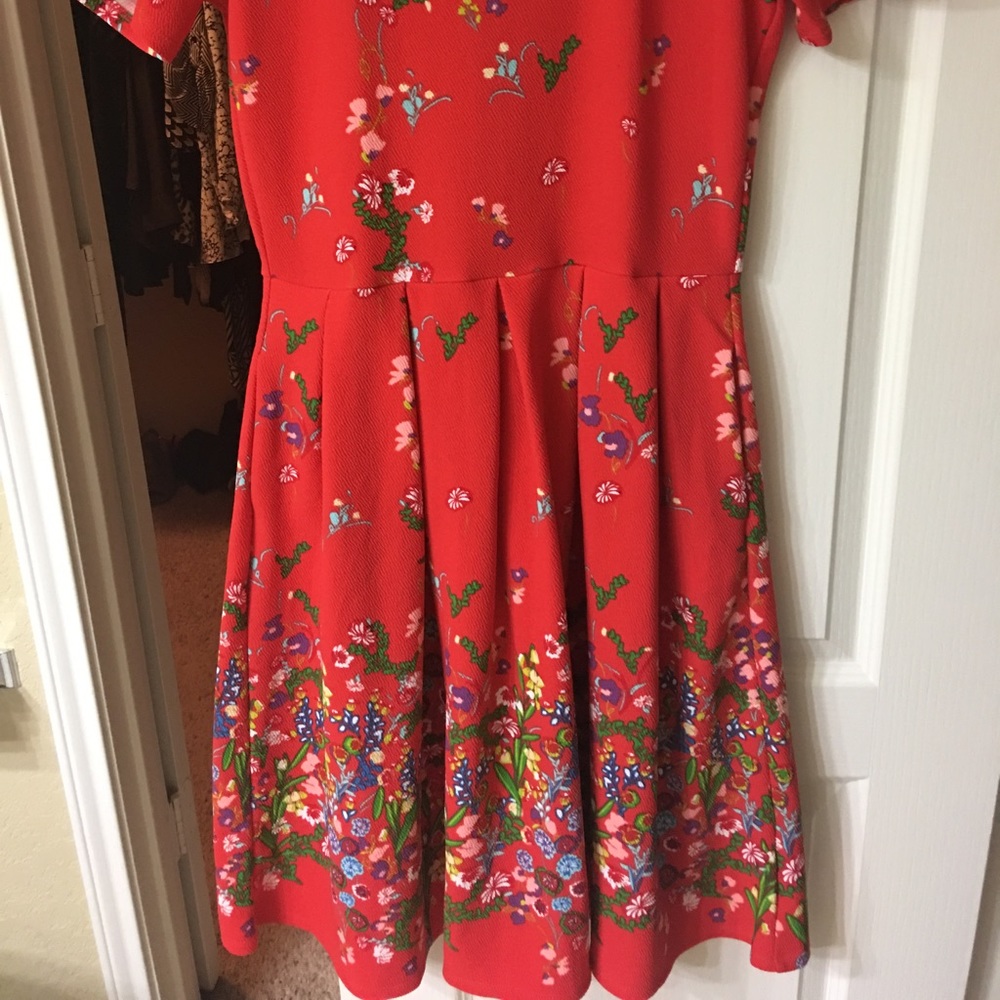LuLaRoe dipped floral Amelia