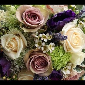 Meet your Posher, Johmeka