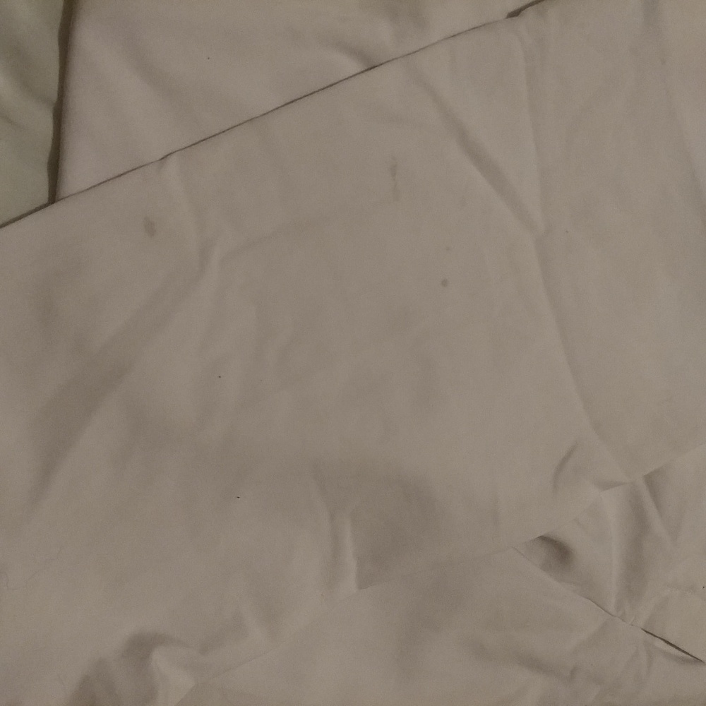 Express Editor pants - Picture 3 of 4