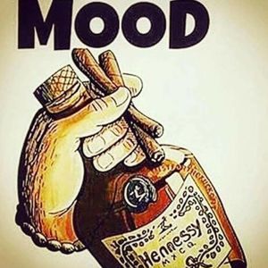 Meet your Posher, Sheila