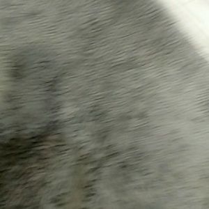 Meet your Posher, Sean