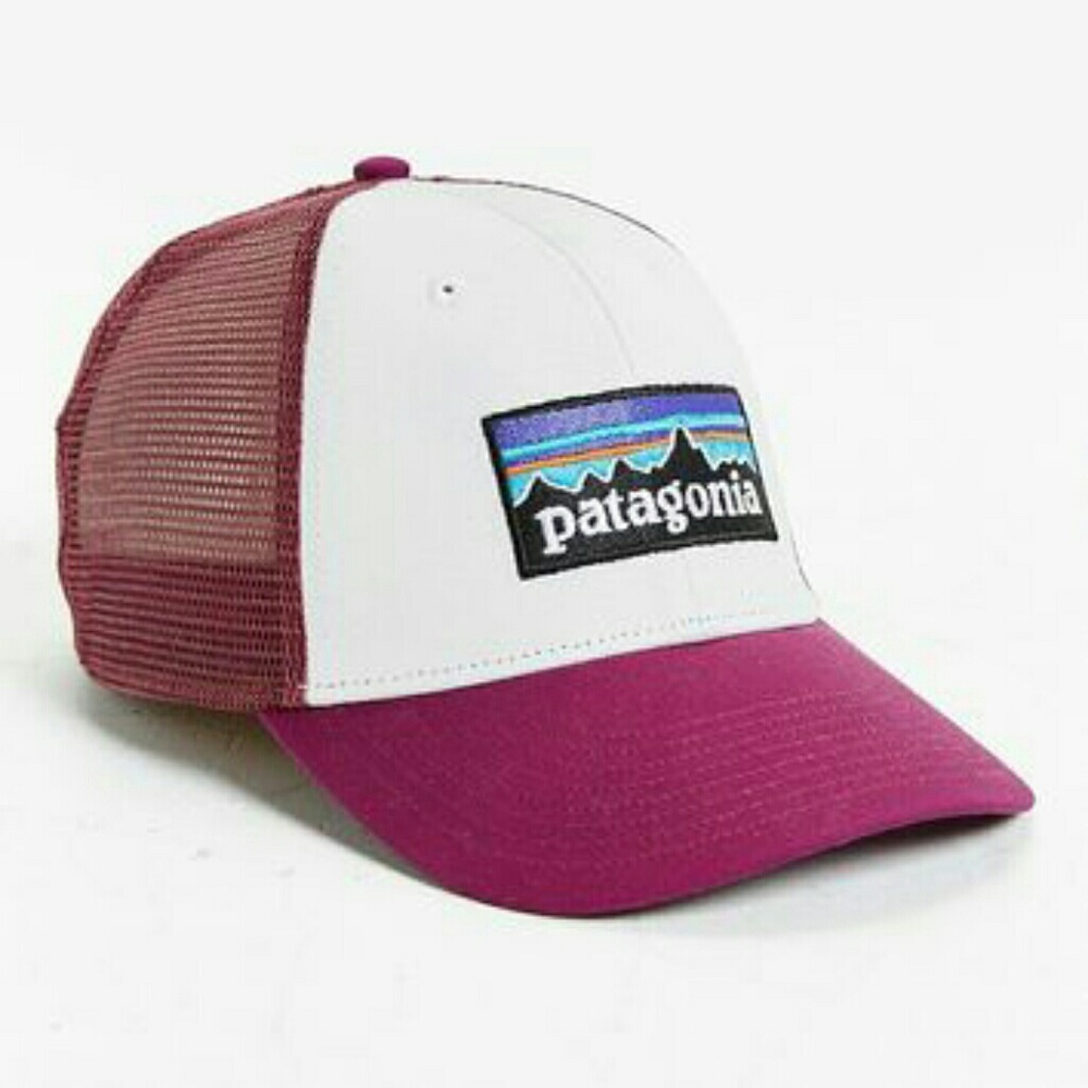 ISO this exact Patagonia hat