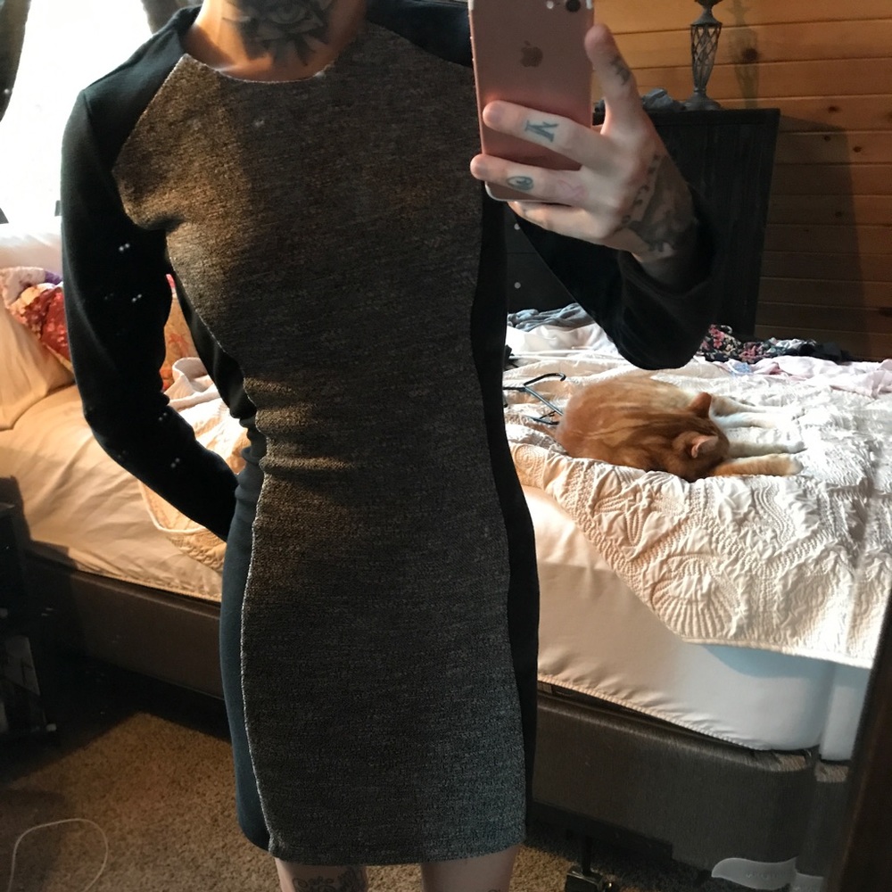 NWOT LOFT by Ann Taylor Dress