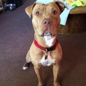 Meet your Posher, Ernest