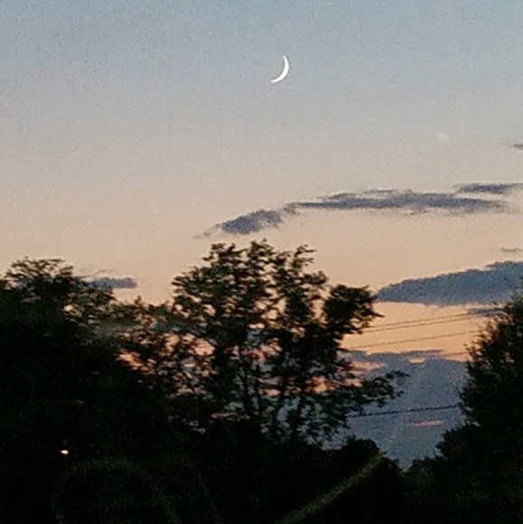 Meet your Posher, Kym - Picture 1 of 1