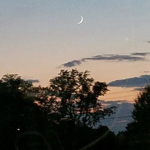 Meet your Posher, Kym