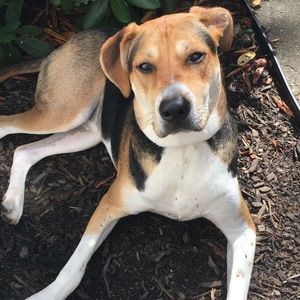 Meet your Posher, Mike