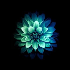 Meet your Posher, Gene