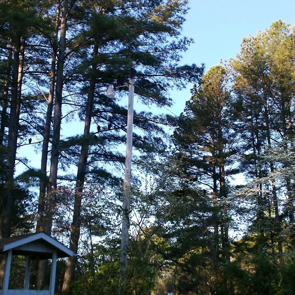 Meet your Posher, Denise