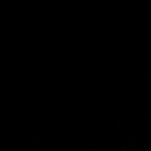 Meet your Posher, Shyla