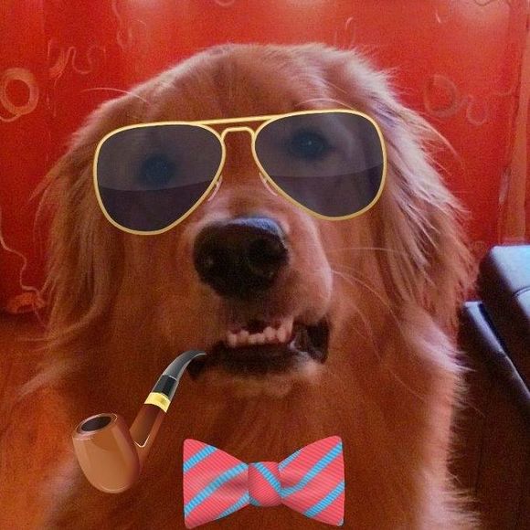 Meet your Posher, Miriam - Picture 2 of 2