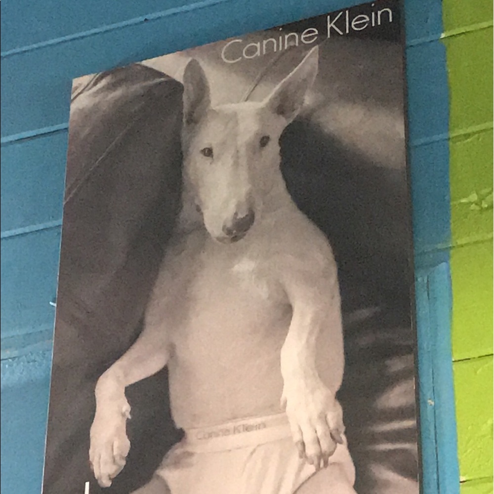 Meet your Posher, Sophia