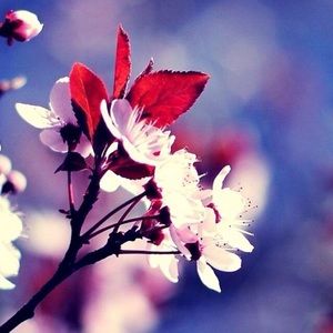 Meet your Posher, Jocelyn