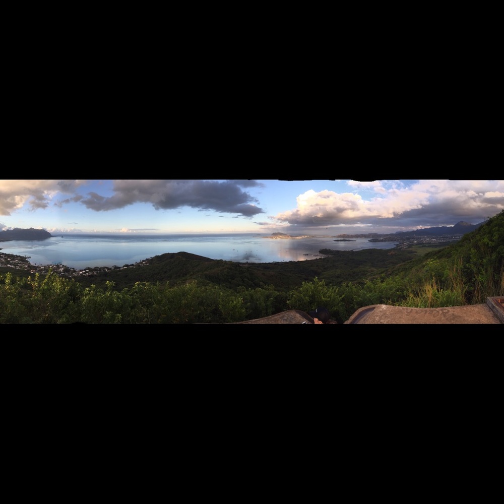 Meet your Posher, Nola