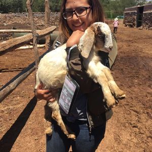 Meet your Posher, Zuri